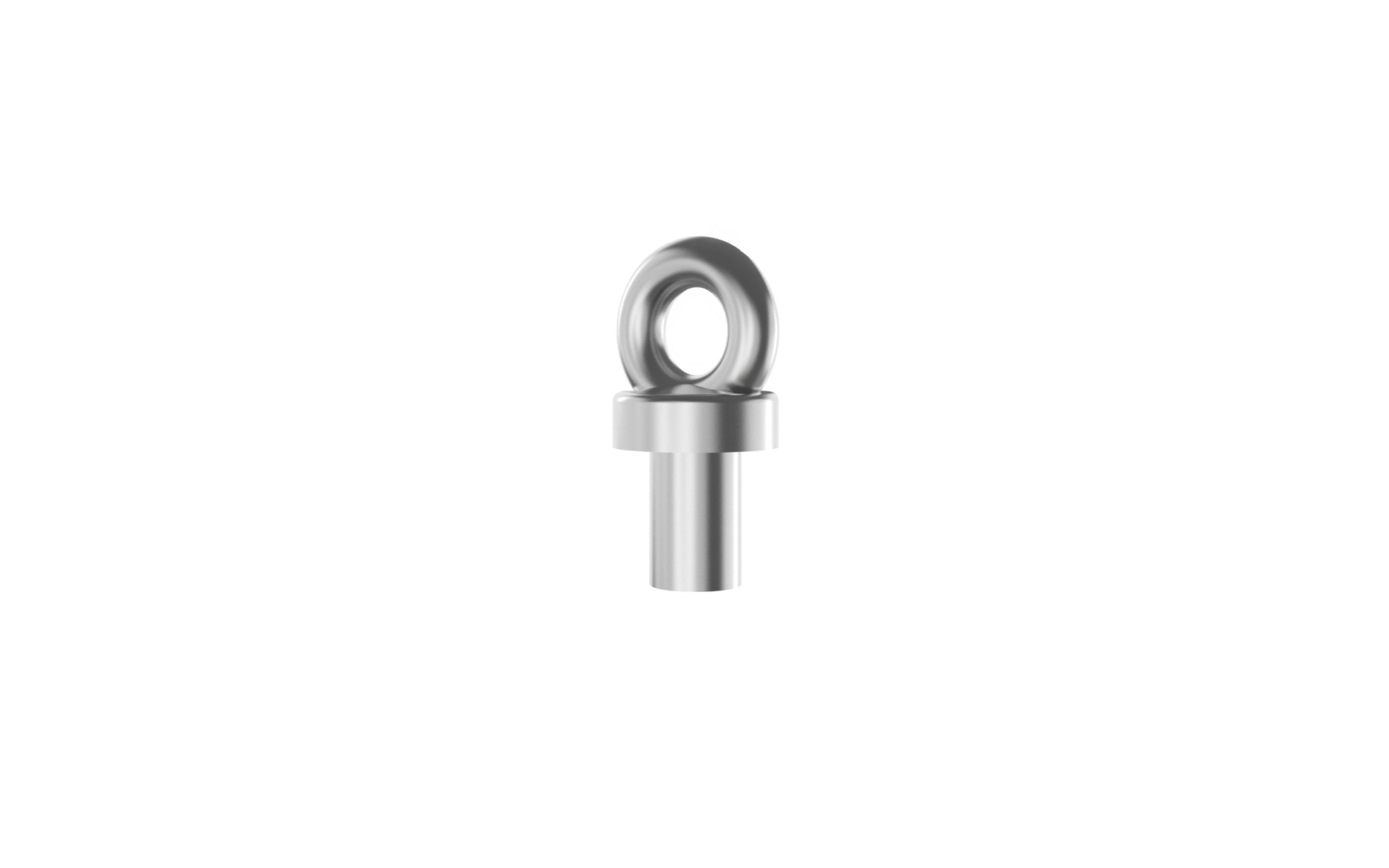 Accessory - Eye Bolt - 125kg per bolt (2) - LEB/12