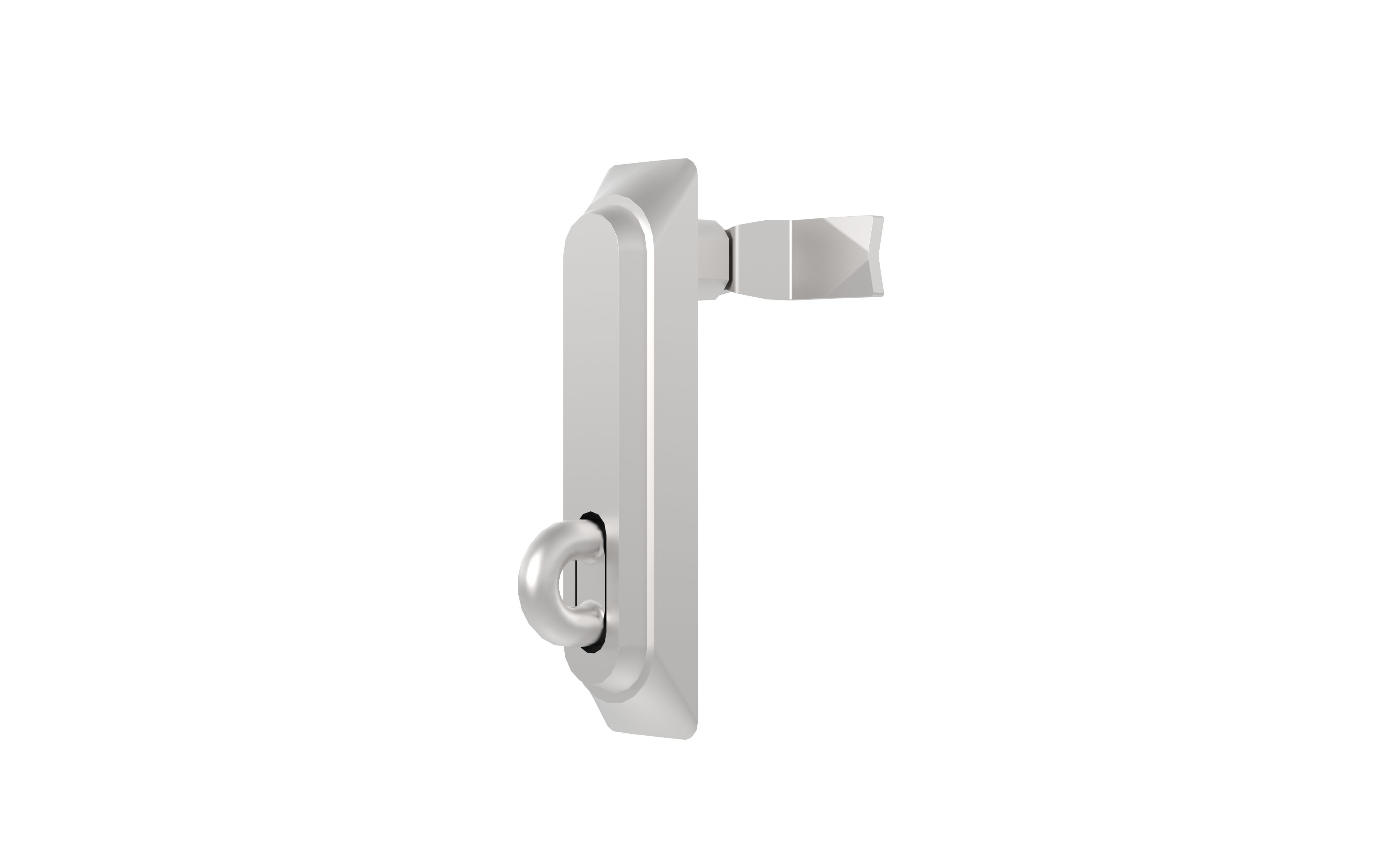 Accessory - Swing Handle - Padlockable - 316 Stainless Steel - SP/LCK/S
