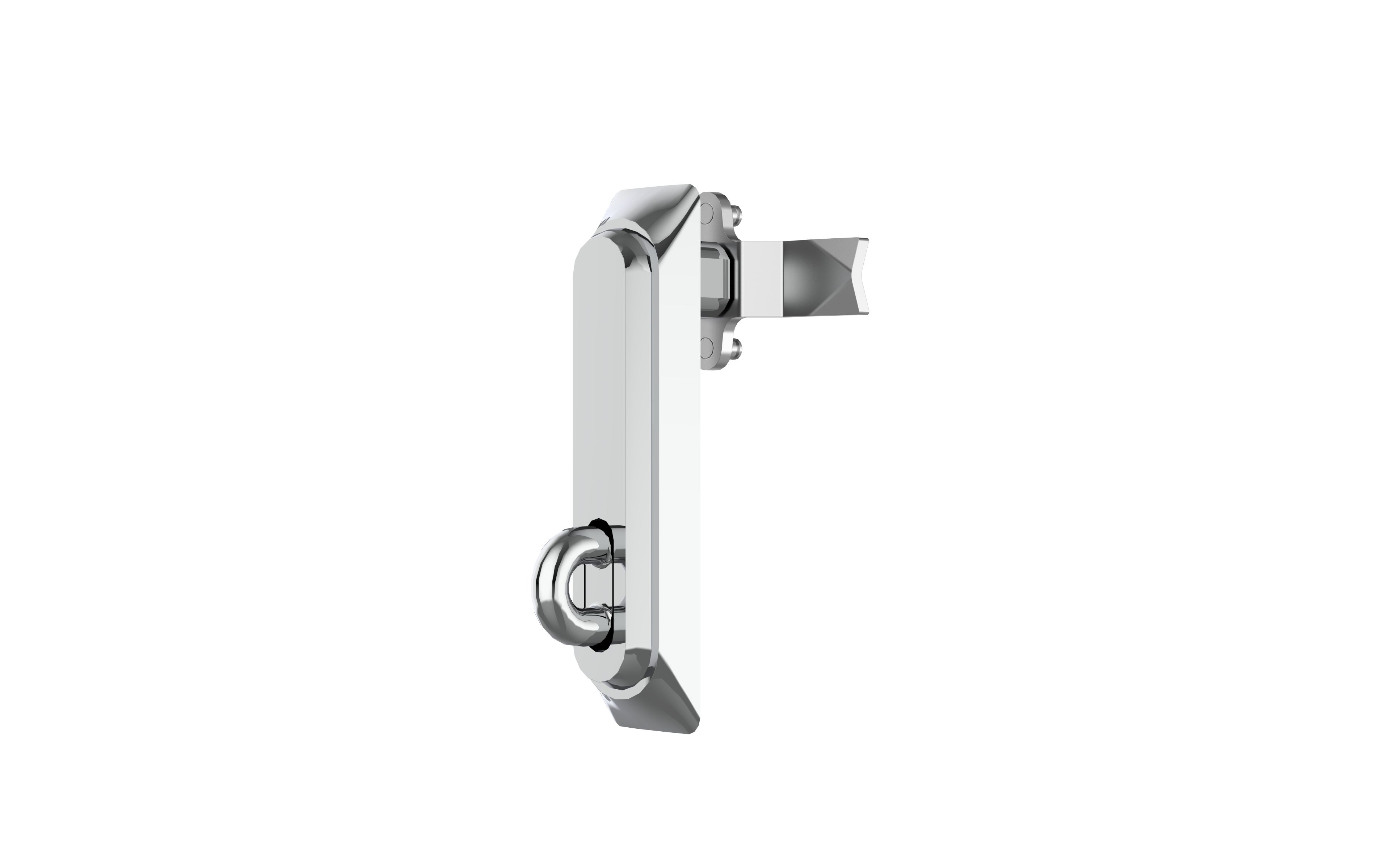 Accessory - Swing Handle - Padlockable - Stainless steel - IP060/S
